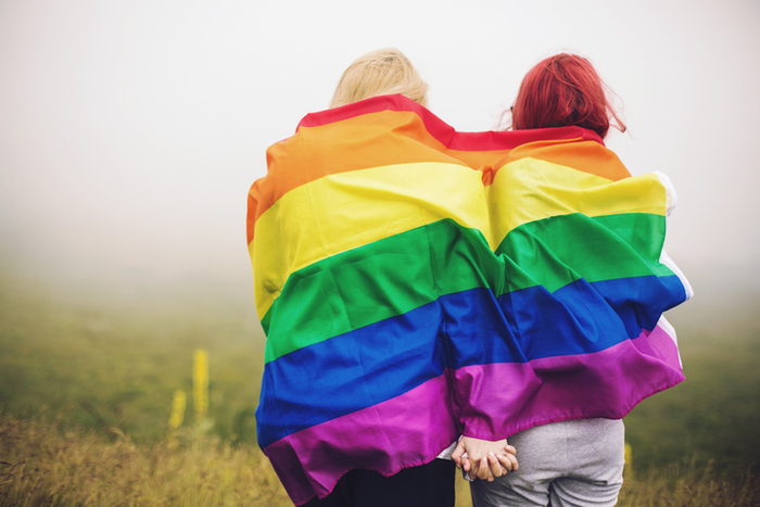 two people wrapped in a rainbow pride flag, holding hands while staring out into a foggy field.
